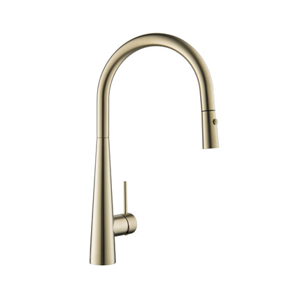 Brushed Gold Pull Out Kitchen Mixer