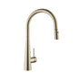 Brushed Gold Pull Out Kitchen Mixer